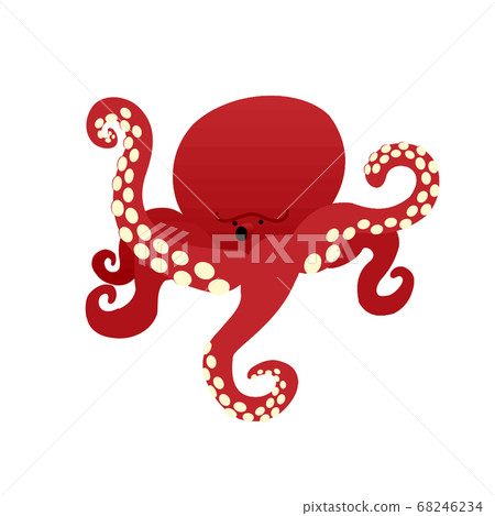 octopus octopus 68246234