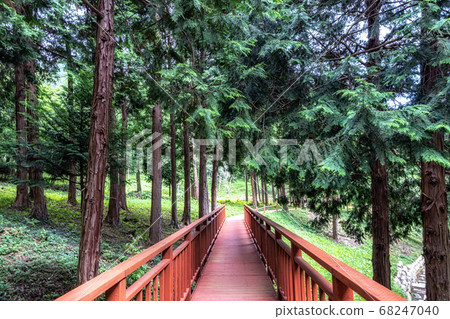 mujangye forest trail in jindo mujangye forest trail in jindo 68247040