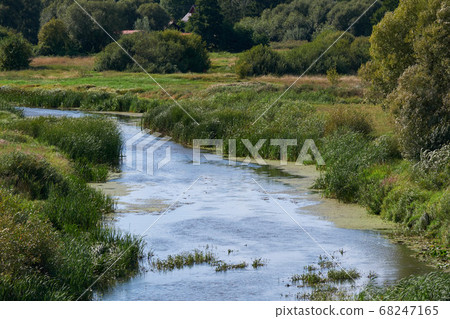 Narev River in summer Narev River in summer 68247165