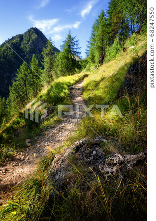 Mountain path at dawn in French Alps 68247550