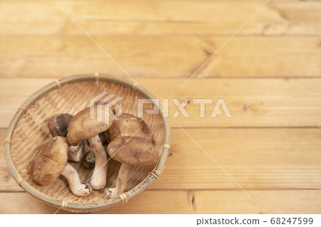 Shiitake copy space 68247599