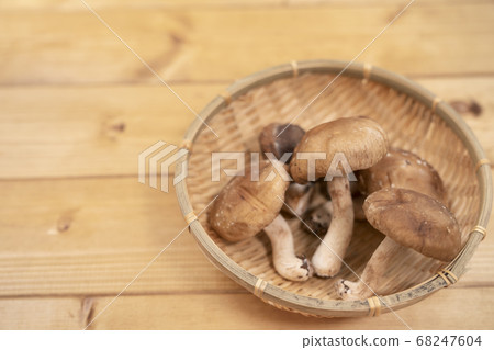 Shiitake copy space Shiitake copy space 68247604