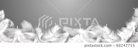 White feathers. Realistic frame with fluffy bird plume, falling softness goose or swan close up plumage, style smooth border for banner poster or flyer vector isolated illustration 68247715
