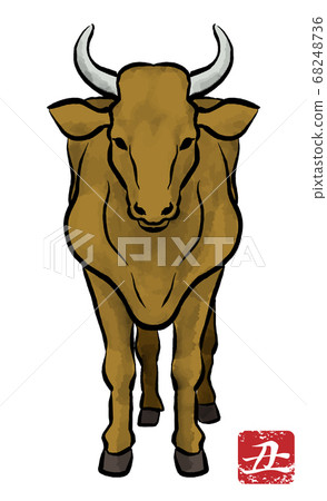Brown cow front-ox year material Brown cow front-ox year material 68248736