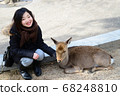 Miyajima deer and women 68248810