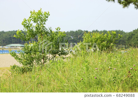 Konazawa-ku, Yokohama-shi seaside park beach which is quiet in corona whirlpool 68249088