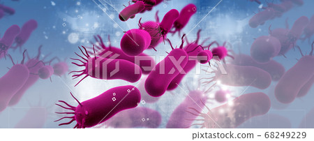 bacteria 68249229
