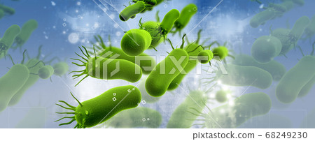 bacteria 68249230