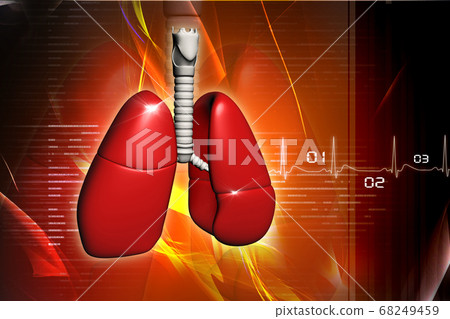 Human lungs in digital design Human lungs in digital design 68249459