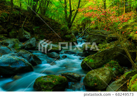Autumn stream Autumn stream 68249573