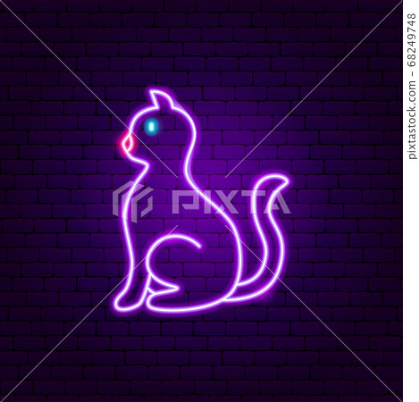 neon lights cat