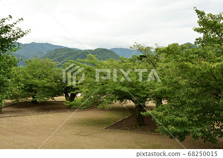 日本百座著名城堡和松代城 日本百座著名城堡和松代城 68250015