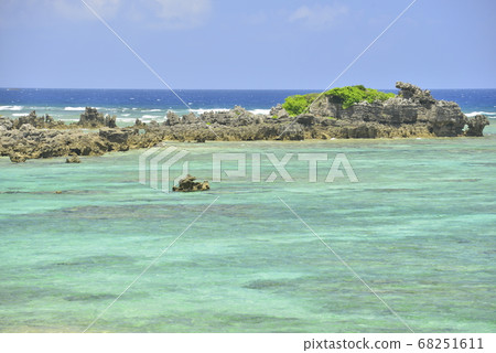 [鹿兒島縣Am美大島]海岸的珊瑚礁 68251611