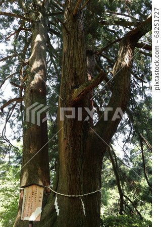 小山大uri神社本部方法杉杉 68251727