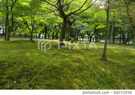 Landscape of Tofuku-ji Temple Landscape of Tofuku-ji Temple 68252056