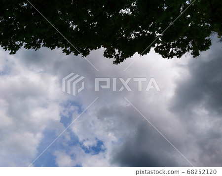 Sky clouds dramatic view with dark green trees Sky clouds dramatic view with dark green trees 68252120