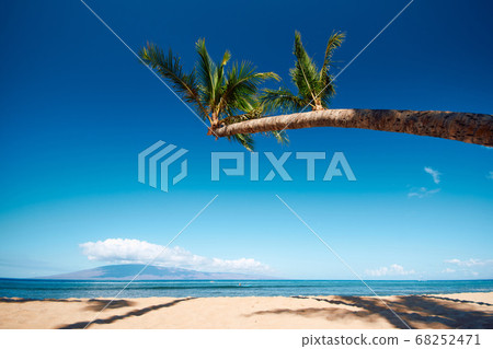 從夏威夷毛伊島的卡納帕里海灘上看到的拉奈島 68252471