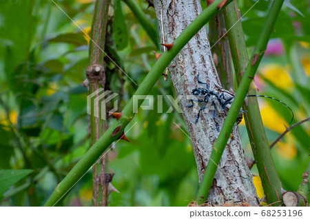 Icon auto alignment background wallpaper 68253196