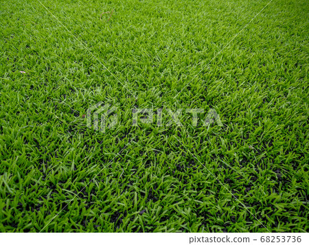 Football field, astro turf surface. Close up of 68253736