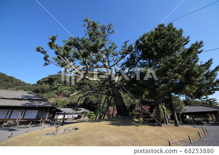 磯花園的風景 磯花園的風景 68253880