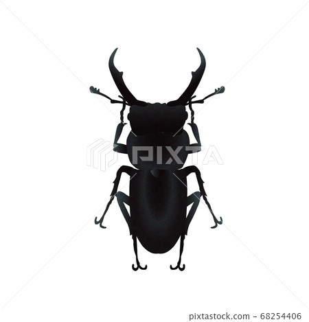 Male of Kokuwagata 68254406