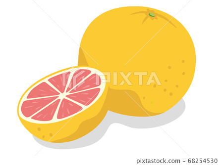 Illustration of pink grapefruit Illustration of pink grapefruit 68254530