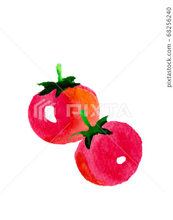 小番茄水彩手繪 小番茄水彩手繪 68256240