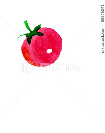 小番茄水彩手繪 68256241