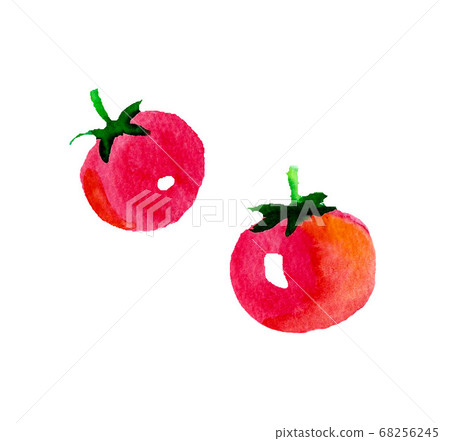 小番茄水彩手繪 小番茄水彩手繪 68256245
