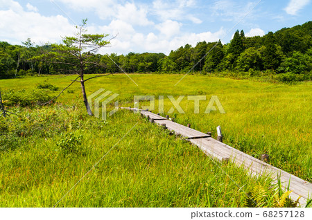 Summer Tamahara Mire Summer Tamahara Mire 68257128
