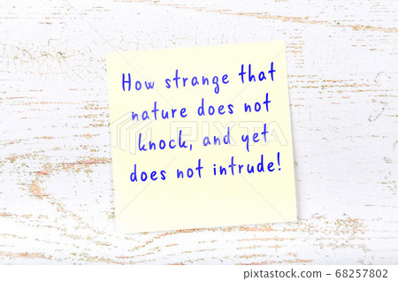 Yellow sticky note on wooden wall with wise quote Yellow sticky note on wooden wall with wise quote 68257802