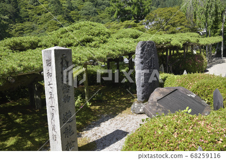 Ryuu pine (natural treasure) 68259116