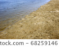 Along the coast, sandy beach 68259146