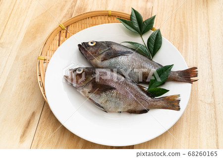 Exomebar Gaya 68260165