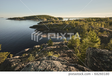 Rocky forest shore at sunset. Northern landscape 68260180