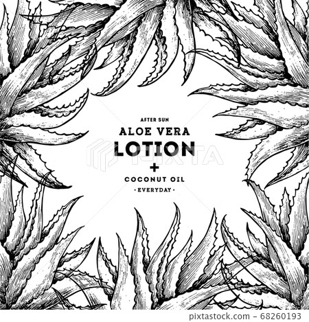 Aloe vera frame. Botanical design template. 68260193
