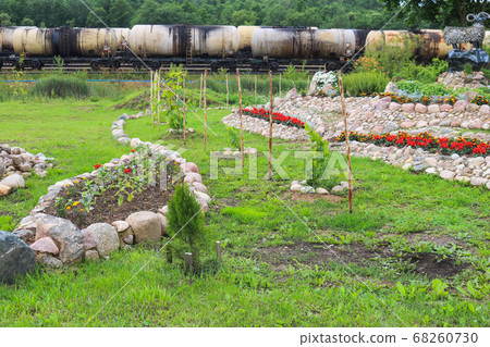 Beautiful plants on a makeshift large flower bed. 68260730
