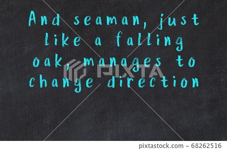 Chalk wise inscription on black chalkboard 68262516