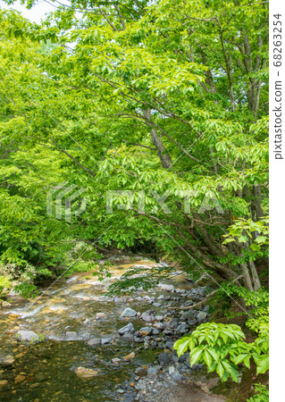 群馬縣Terubakyo Okutone水上鎮 68263254