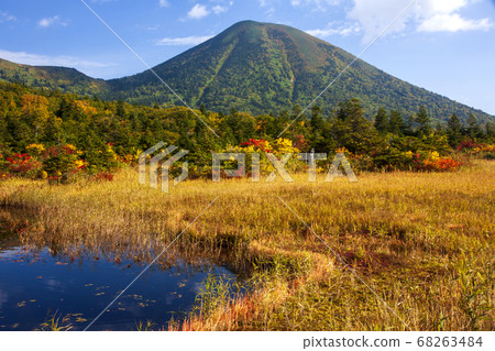 五甲田山睡蓮沼澤的秋天風景 照片素材 圖片 圖庫