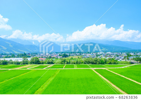 夏日鄉村風景 長野縣白馬村 照片素材 圖片 6636 圖庫