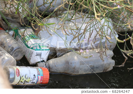 Garbage dumped in the river 68264247