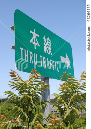 Expressway markings (main line) 68264585