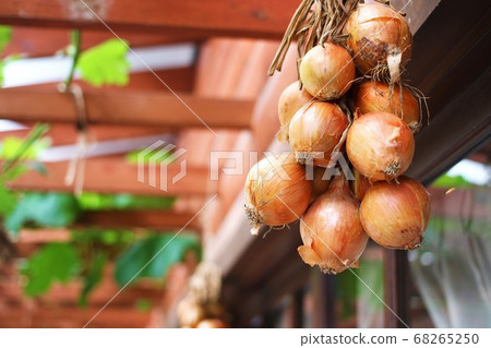 Onions hung under the eaves 68265250