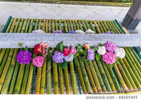 宮城縣岩沼市竹菊神社繡球花花球的竹水神社 68265945
