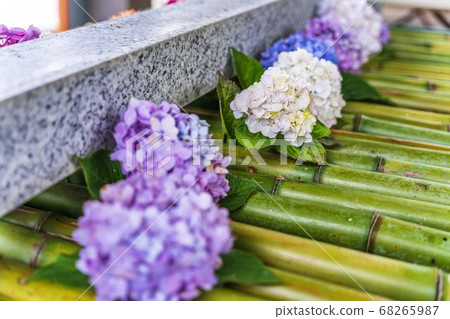 宮城縣岩沼市竹菊神社繡球花花球的竹水神社 68265987