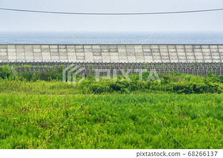 宮城縣山本町卡薩諾避難山公園防波堤的風景 68266137