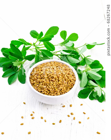 Fenugreek with green leaves in bowl Fenugreek with green leaves in bowl 68267248