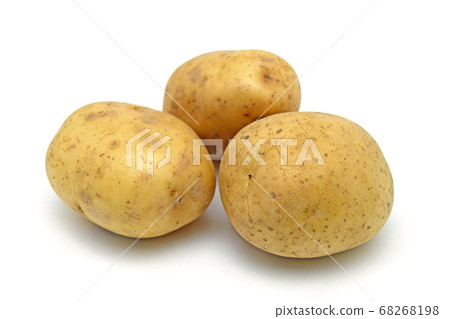 Potato (Sayaka) 68268198