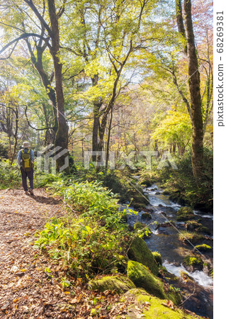 Autumn scenery of Oyama Kitanizawa mountain stream Autumn scenery of Oyama Kitanizawa mountain stream 68269381